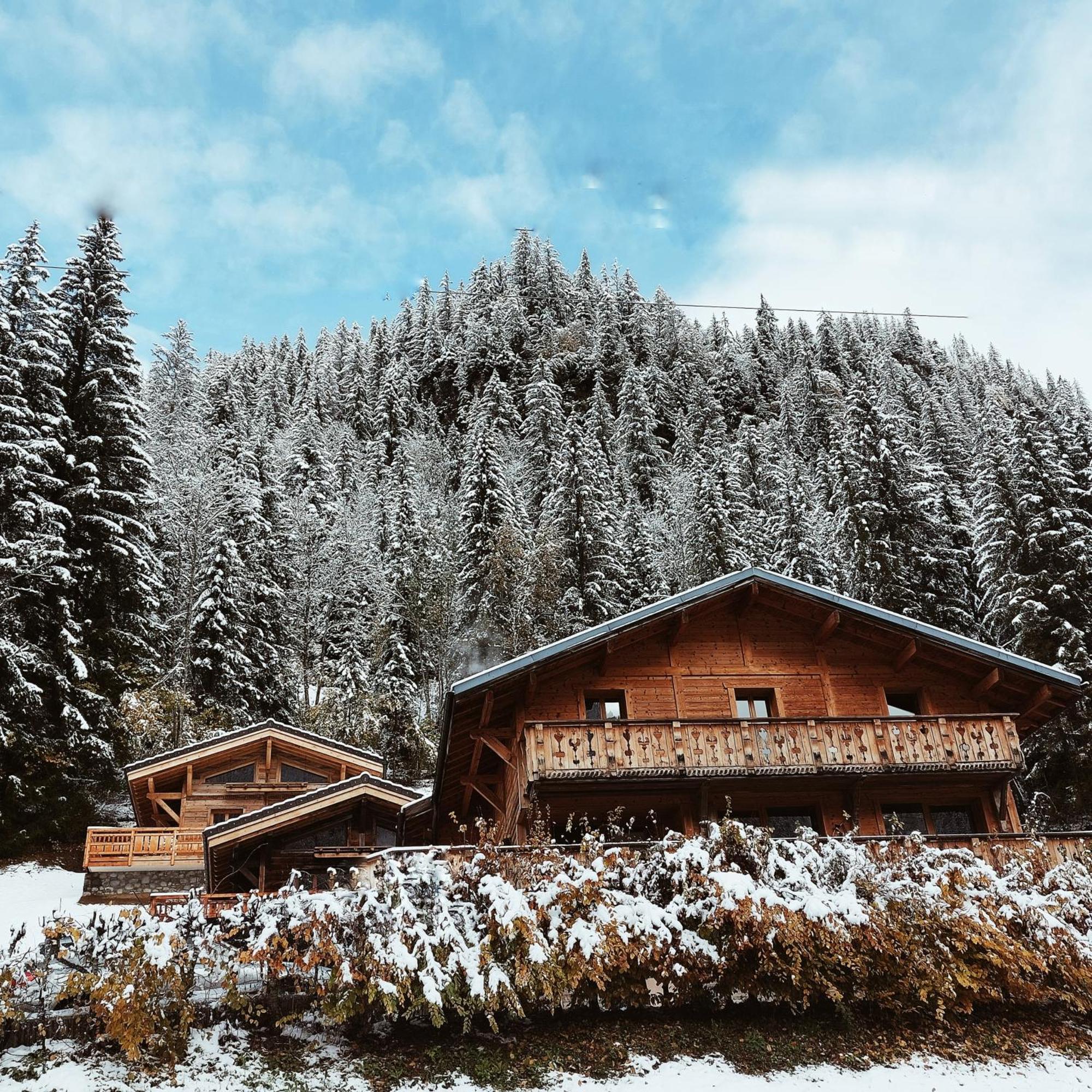 Savoya Lodges Châtel Kültér fotó